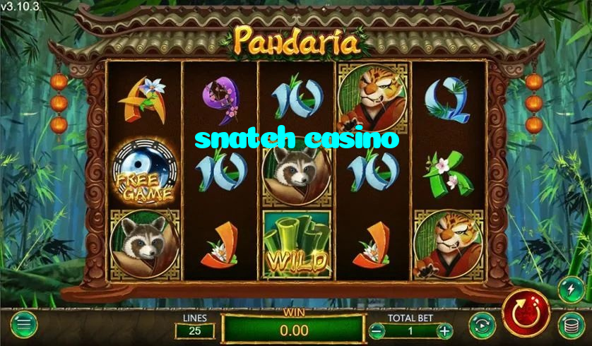 snatch casino